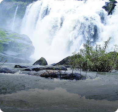 Vagamon
